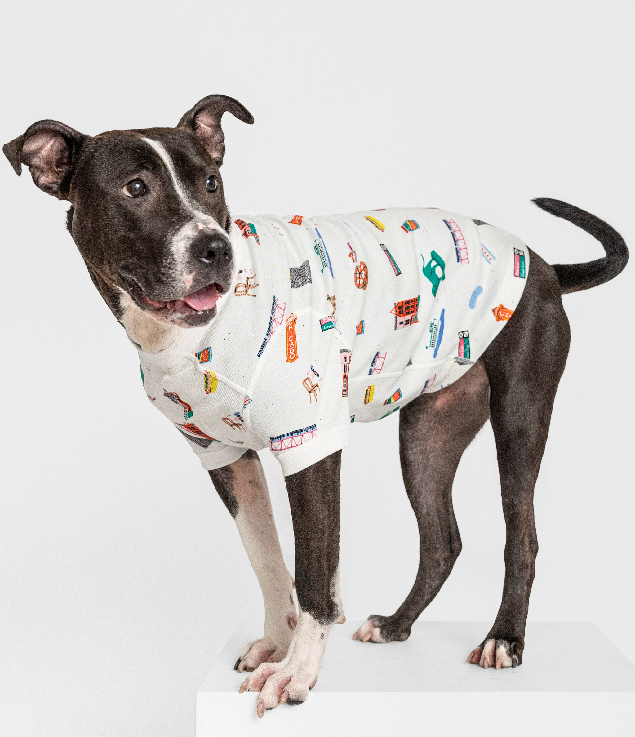 Goodnight Chicago Pet Pajamas - Sustainable organic pet clothing featuring Chicago-themed vibrant prints
