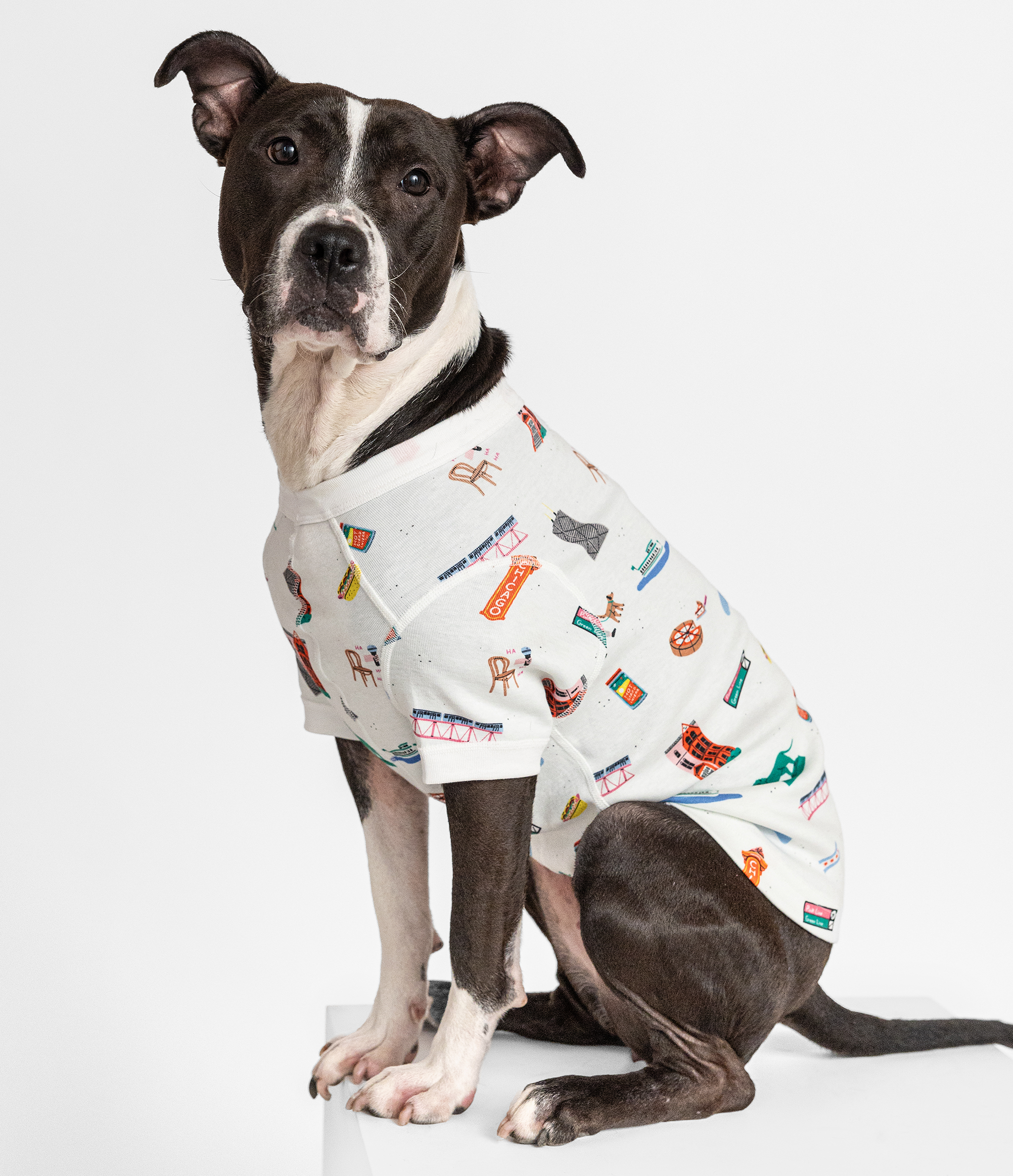 Goodnight Chicago Pet Pajamas - Sustainable organic pet clothing featuring Chicago-themed vibrant prints