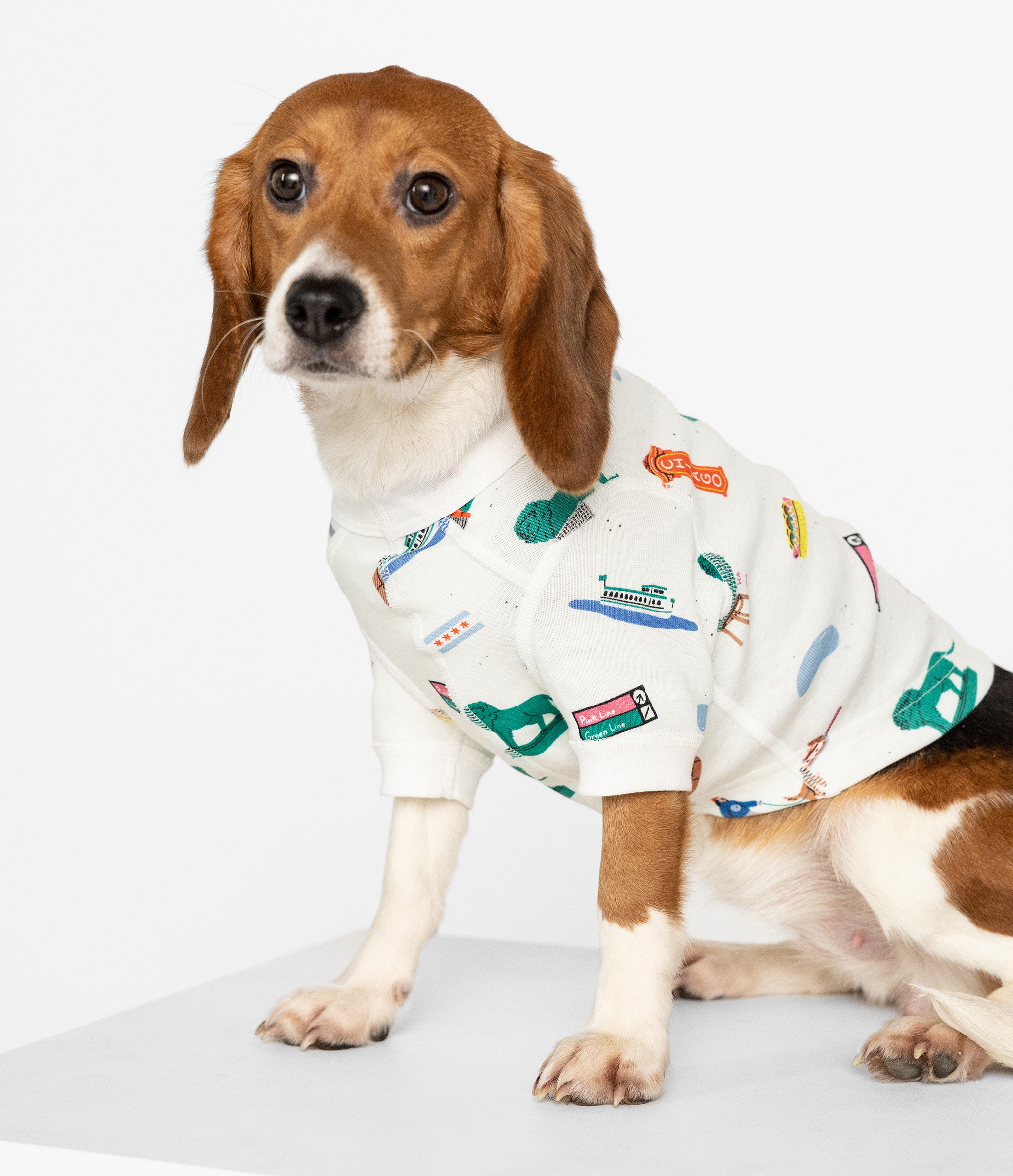 Goodnight, Chicago Pet Pajamas 🌭